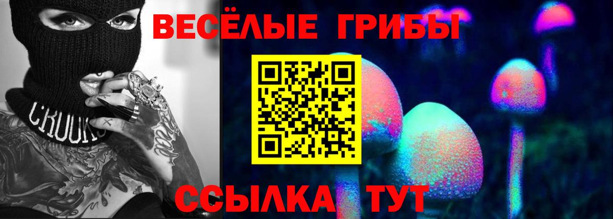 даркнет сайт  Вход с VPN  Вольск  Псилоцибиновые грибы Cubensis  Галлюциногенные грибы MAGIC MUSHROOMS 